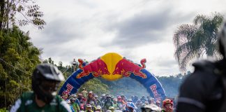 Bananalama quebra o próprio recorde em edição histórica