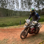 abertura-bites-2024-4