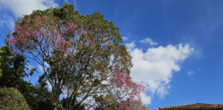 Ducati On The Road realiza sua 5a edição ducati-on-the-road-realiza-sua-5a-edicao