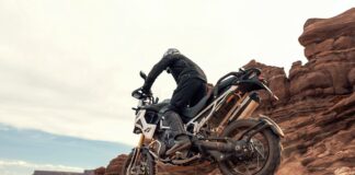 Black Triumph: marca oferece taxa zero e bônus Black-Triumph-marca-oferece-taxa-zero-e-bônus