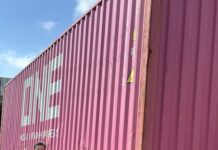 Rinaldi avança no cenário internacional e conquista a Ásia Renan-Vicari-analista-de-exportacao-da-Rinaldi-ao-lado-do-primeiro-container-rumo-as-Filipinas.-Credito-Divulgacao-Rinaldi